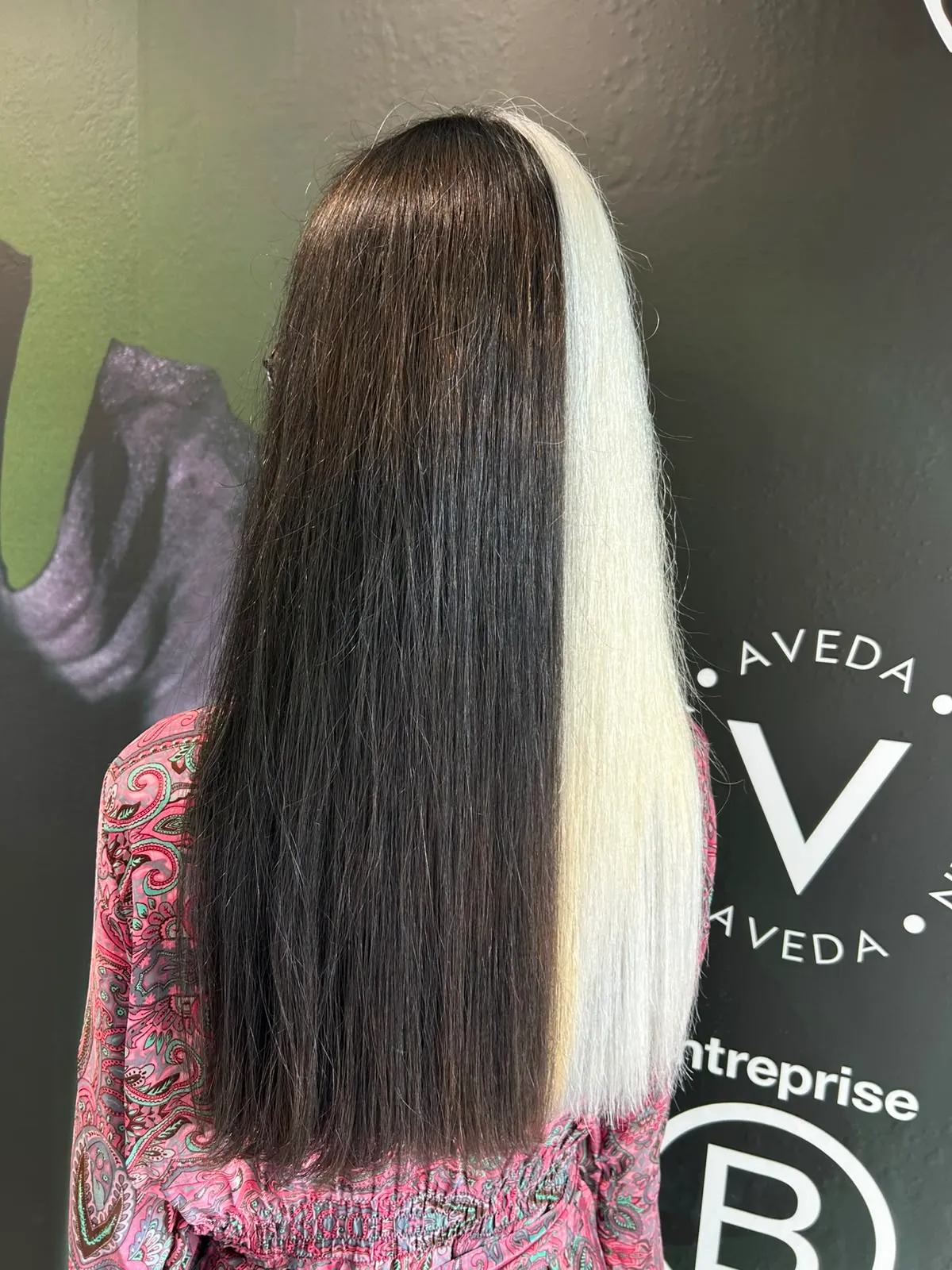 Coloration bicolore brun profond et blond polaire sur cheveux très longs